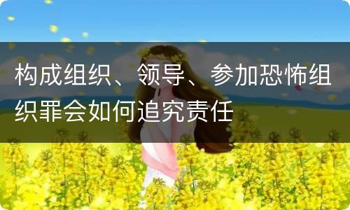 构成组织、领导、参加恐怖组织罪会如何追究责任