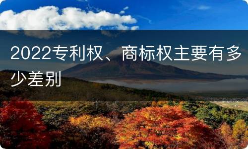 2022专利权、商标权主要有多少差别