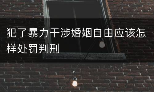 犯了暴力干涉婚姻自由应该怎样处罚判刑
