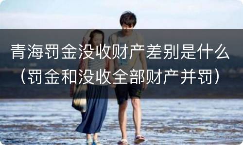 青海罚金没收财产差别是什么（罚金和没收全部财产并罚）