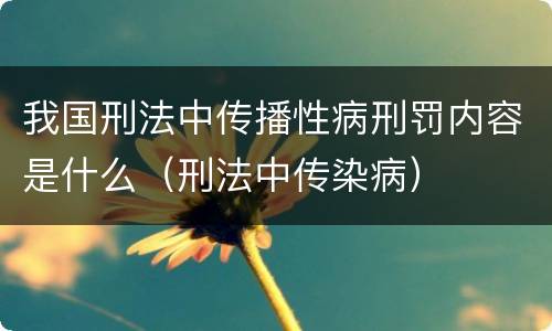 我国刑法中传播性病刑罚内容是什么（刑法中传染病）