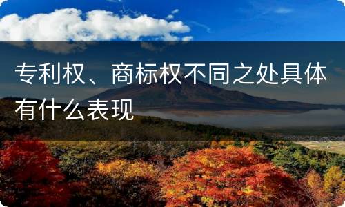 专利权、商标权不同之处具体有什么表现