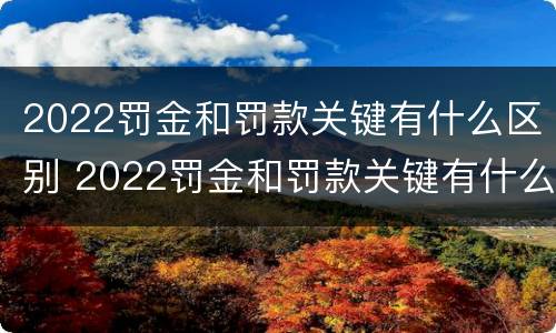 2022罚金和罚款关键有什么区别 2022罚金和罚款关键有什么区别呢