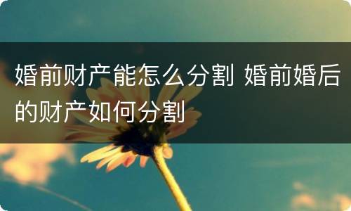 婚前财产能怎么分割 婚前婚后的财产如何分割