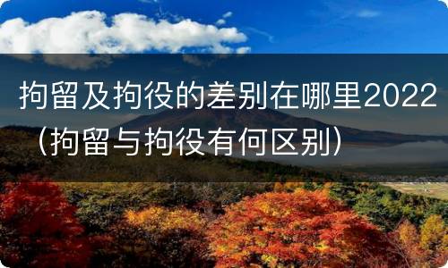 拘留及拘役的差别在哪里2022（拘留与拘役有何区别）