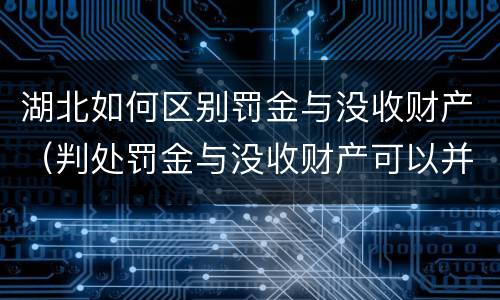 湖北如何区别罚金与没收财产（判处罚金与没收财产可以并罚吗）