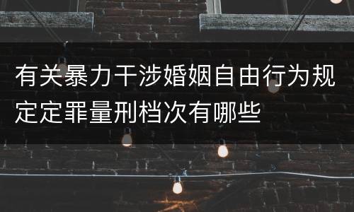 有关暴力干涉婚姻自由行为规定定罪量刑档次有哪些