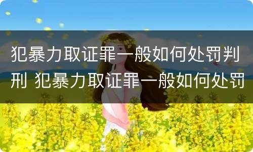 犯暴力取证罪一般如何处罚判刑 犯暴力取证罪一般如何处罚判刑多少年