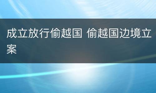 成立放行偷越国 偷越国边境立案