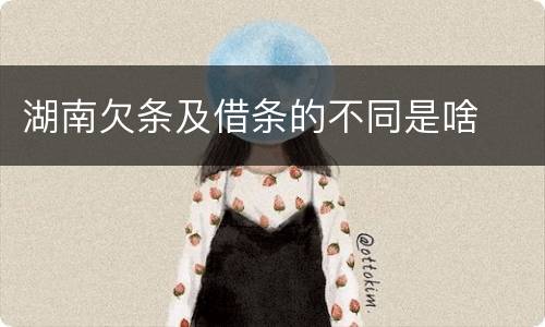 湖南欠条及借条的不同是啥