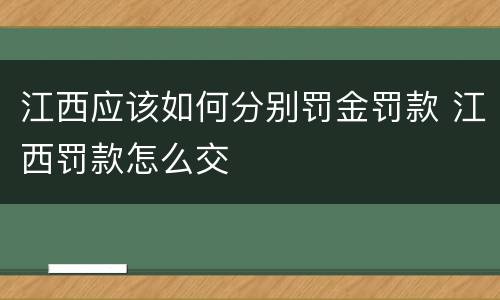 江西应该如何分别罚金罚款 江西罚款怎么交