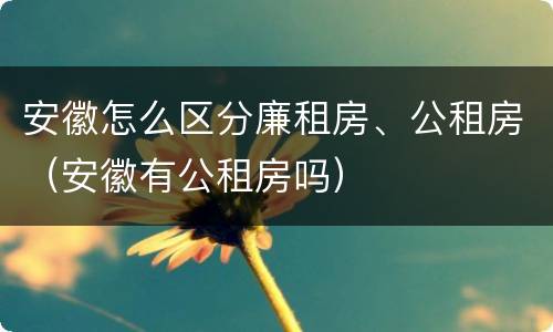 安徽怎么区分廉租房、公租房（安徽有公租房吗）