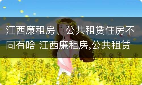 江西廉租房、公共租赁住房不同有啥 江西廉租房,公共租赁住房不同有啥区别
