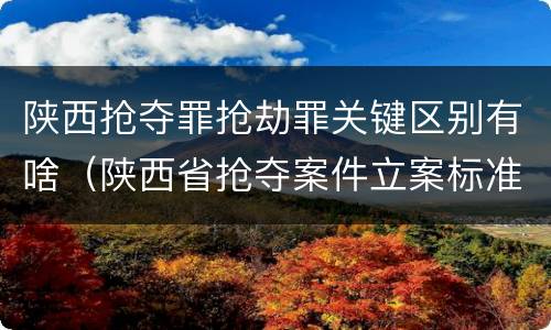 陕西抢夺罪抢劫罪关键区别有啥（陕西省抢夺案件立案标准）