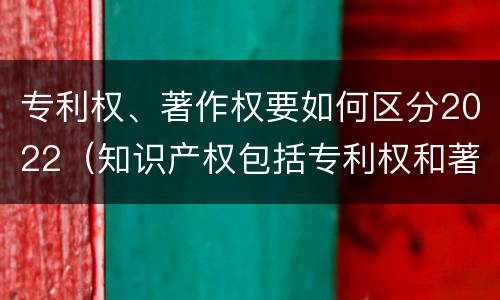 专利权、著作权要如何区分2022（知识产权包括专利权和著作权吗）