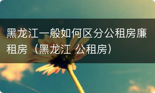 黑龙江一般如何区分公租房廉租房（黑龙江 公租房）