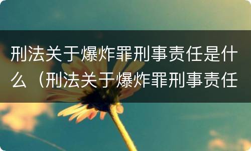 刑法关于爆炸罪刑事责任是什么（刑法关于爆炸罪刑事责任是什么规定）