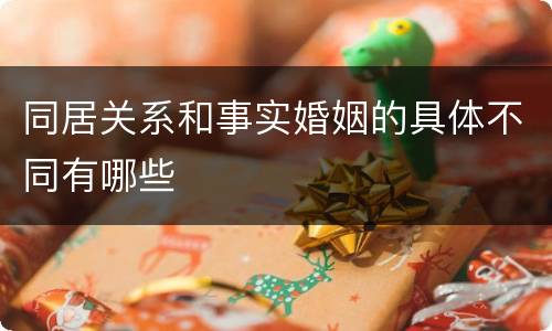 同居关系和事实婚姻的具体不同有哪些