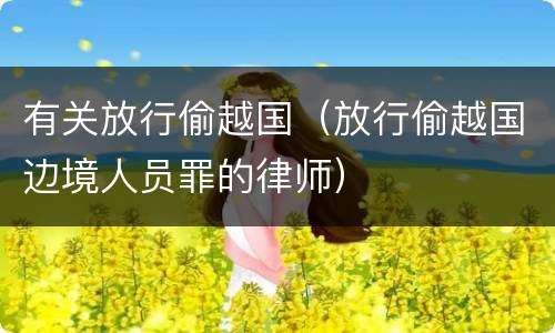 有关放行偷越国（放行偷越国边境人员罪的律师）