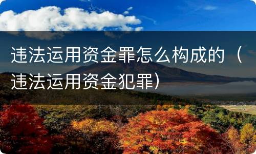 违法运用资金罪怎么构成的（违法运用资金犯罪）