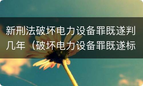 新刑法破坏电力设备罪既遂判几年（破坏电力设备罪既遂标准）