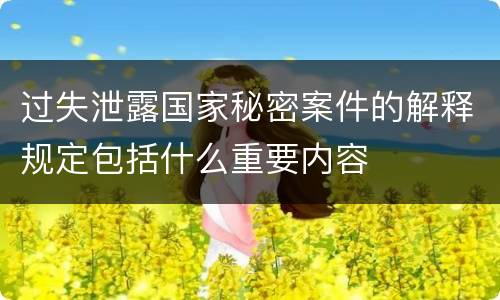 过失泄露国家秘密案件的解释规定包括什么重要内容