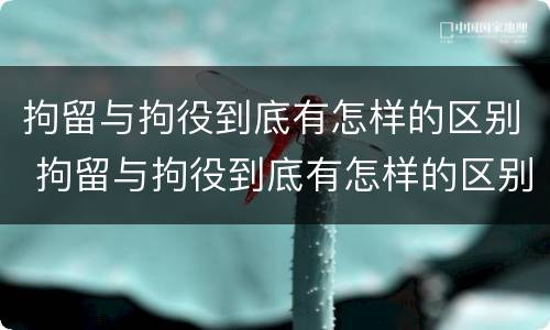 拘留与拘役到底有怎样的区别 拘留与拘役到底有怎样的区别和联系