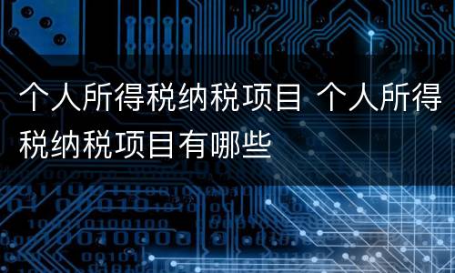 个人所得税纳税项目 个人所得税纳税项目有哪些