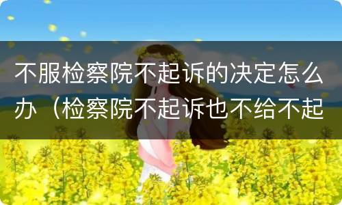 不服检察院不起诉的决定怎么办（检察院不起诉也不给不起诉决定书）