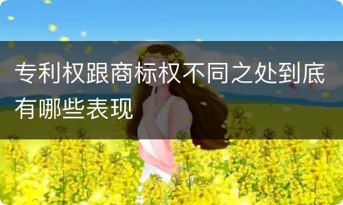 专利权跟商标权不同之处到底有哪些表现
