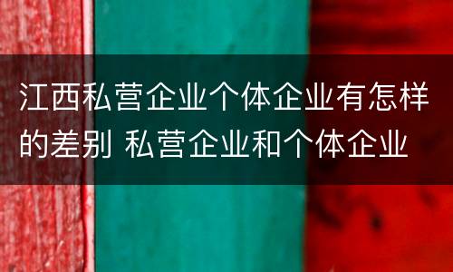 江西私营企业个体企业有怎样的差别 私营企业和个体企业