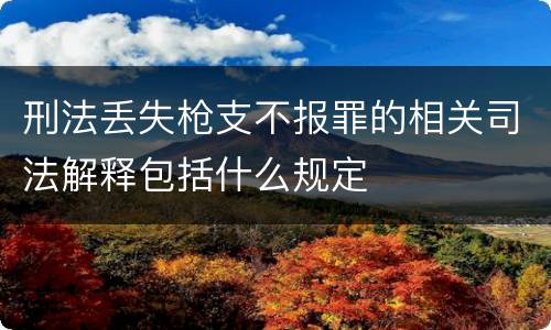 刑法丢失枪支不报罪的相关司法解释包括什么规定