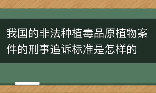 我国的非法种植毒品原植物案件的刑事追诉标准是怎样的