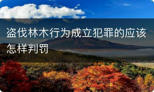 盗伐林木行为成立犯罪的应该怎样判罚