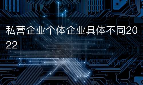 私营企业个体企业具体不同2022
