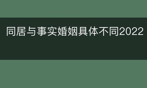 同居与事实婚姻具体不同2022
