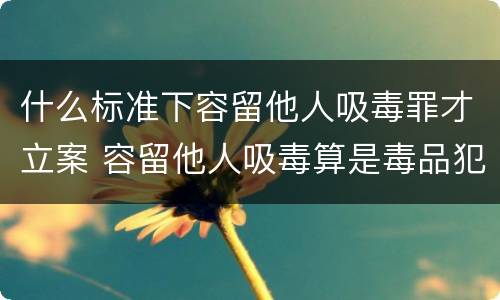 什么标准下容留他人吸毒罪才立案 容留他人吸毒算是毒品犯罪吗
