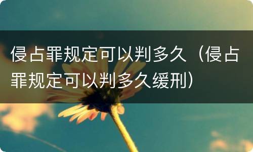 侵占罪规定可以判多久（侵占罪规定可以判多久缓刑）