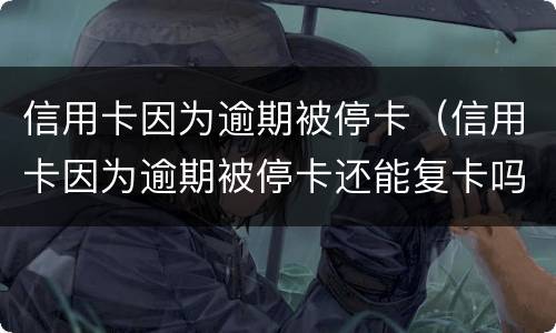 信用卡因为逾期被停卡（信用卡因为逾期被停卡还能复卡吗）
