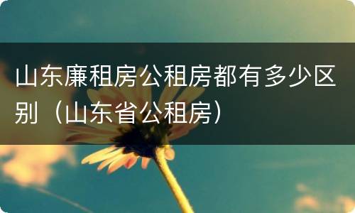 山东廉租房公租房都有多少区别（山东省公租房）