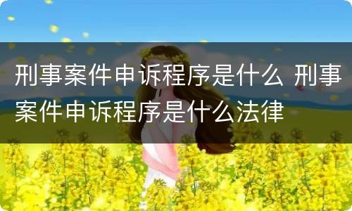 刑事案件申诉程序是什么 刑事案件申诉程序是什么法律