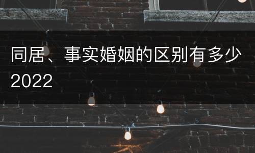 同居、事实婚姻的区别有多少2022