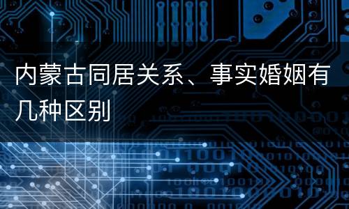 内蒙古同居关系、事实婚姻有几种区别