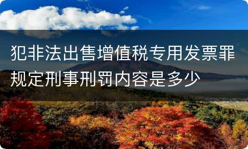 犯非法出售增值税专用发票罪规定刑事刑罚内容是多少