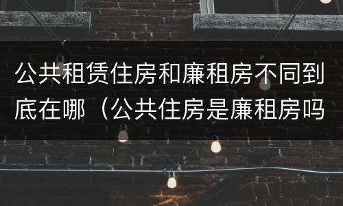 公共租赁住房和廉租房不同到底在哪（公共住房是廉租房吗）