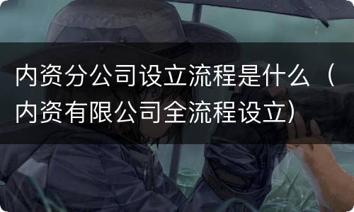 内资分公司设立流程是什么（内资有限公司全流程设立）