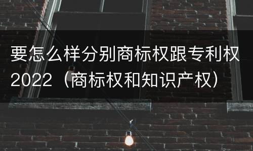 要怎么样分别商标权跟专利权2022（商标权和知识产权）