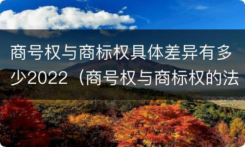 商号权与商标权具体差异有多少2022（商号权与商标权的法律冲突与解决）