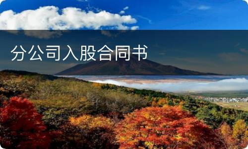 分公司入股合同书