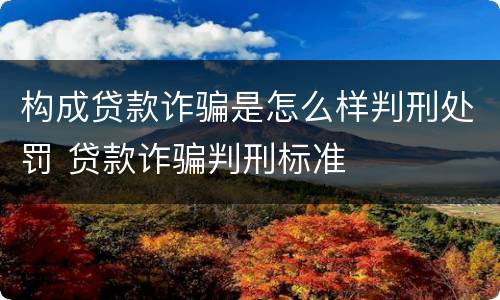 构成贷款诈骗是怎么样判刑处罚 贷款诈骗判刑标准